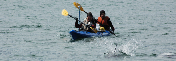Sea kayak con delfines